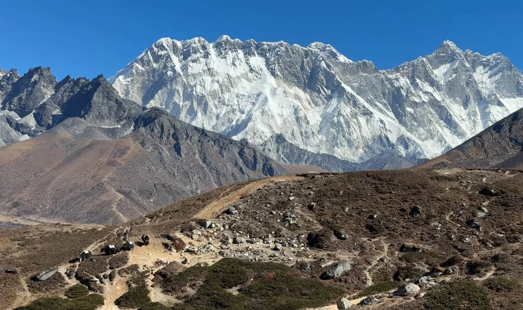 Kangchenjunga Expedition in Nepal