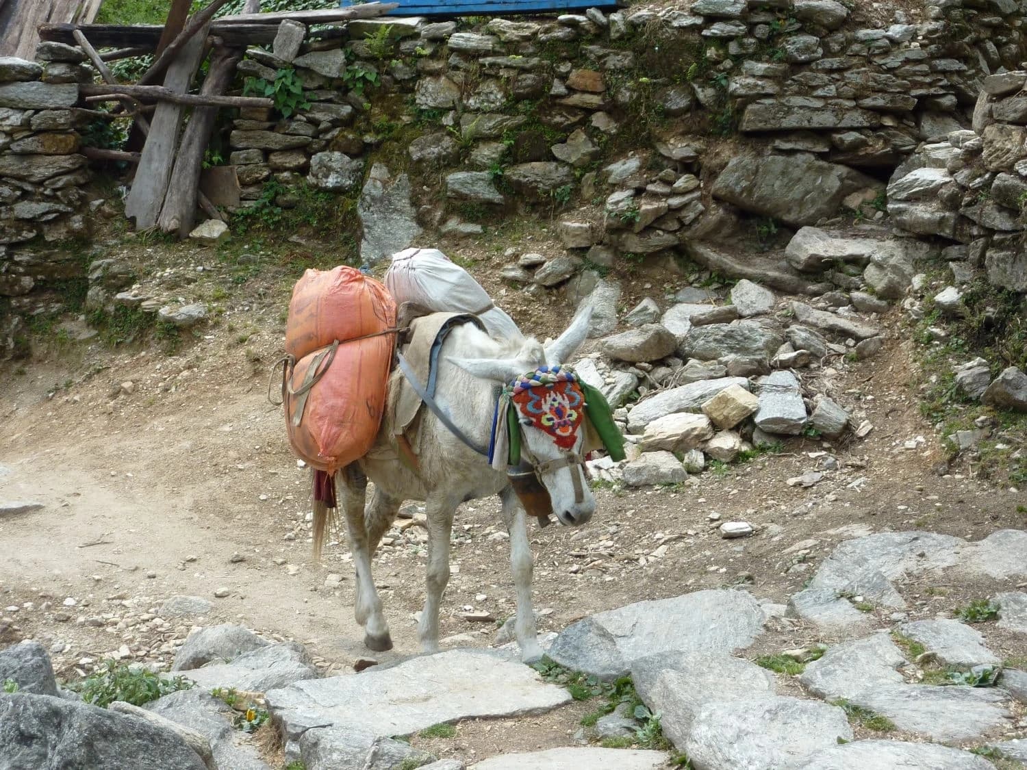 Annapurna Sanctuary Trek - 15 Days