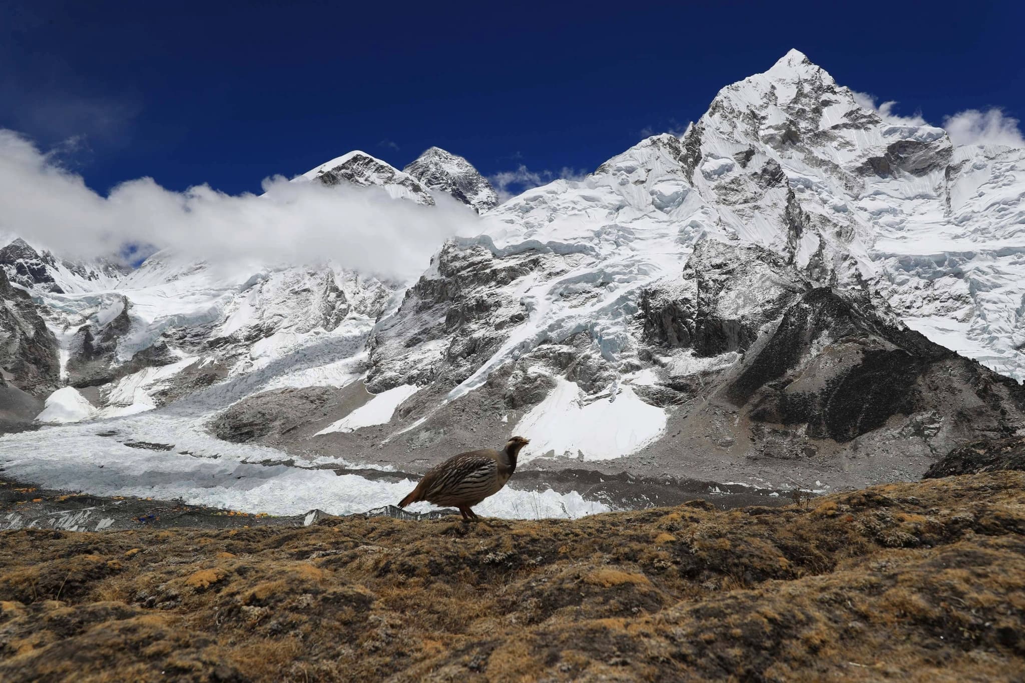 Best of Everest – Gokyo Valley & Everest Base Camp Trek | 18 Days