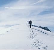 about Summit 8000